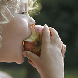 Credit: iStockPhoto An October 2012 report by Pesticide Action Network North America examined dozens of recent studies and concluded that the influx of pesticides in our society -- omnipresent in the air we breath and the foods we eat -- is taking a heavy toll on our children's health and intelligence.