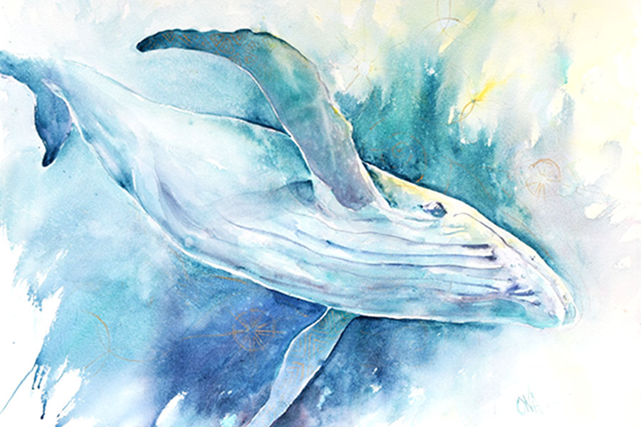 whale spirit animal message