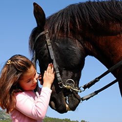 horse_girl