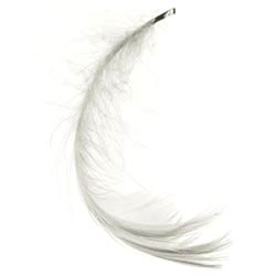 feather-white
