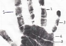 A Father’s Love father's love palmistry reading